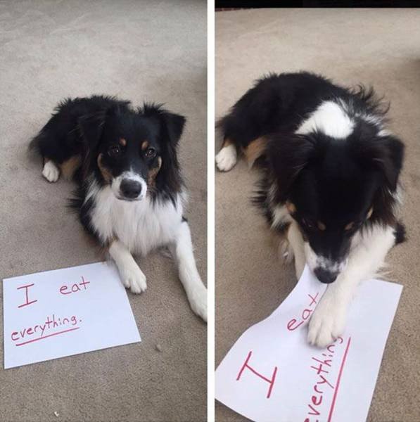 Bildschirmarbeiter - Picdump 28.08.2015