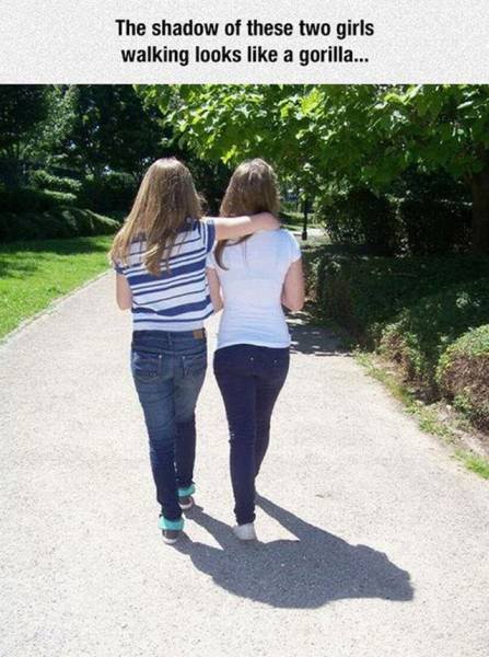 Bildschirmarbeiter - Picdump 28.08.2015