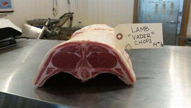 Bildschirmarbeiter - Picdump 28.08.2015