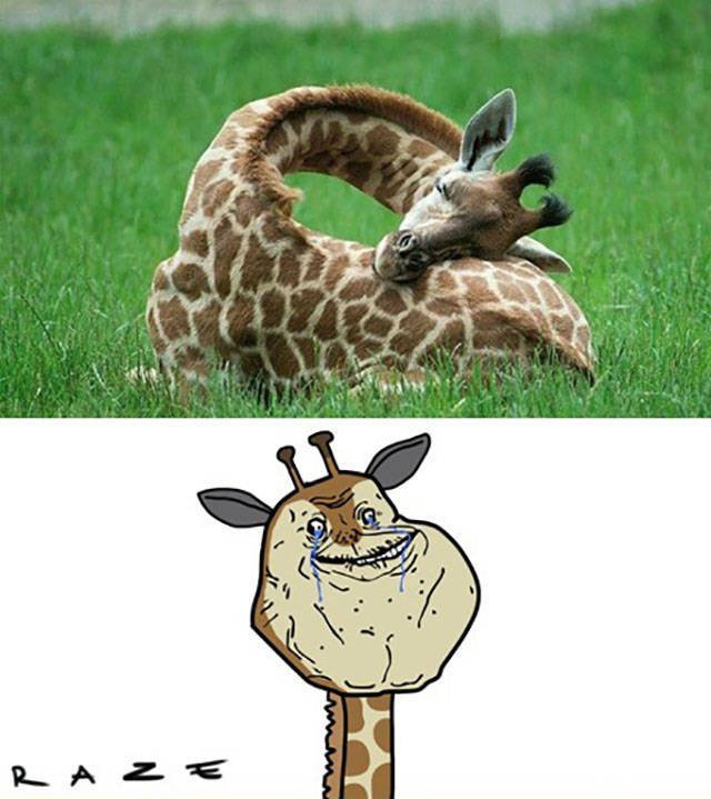 Bildschirmarbeiter - Picdump 28.08.2015