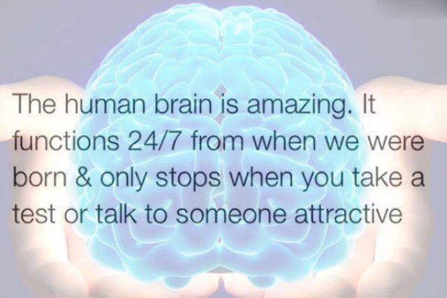 Bildschirmarbeiter - Picdump 28.08.2015