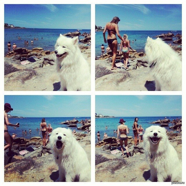 Bildschirmarbeiter - Picdump 28.08.2015