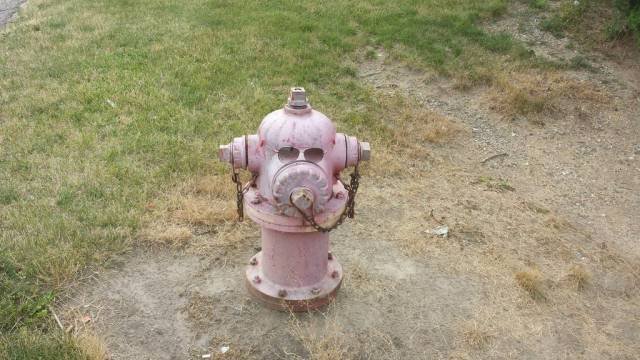 Bildschirmarbeiter - Picdump 04.09.2015