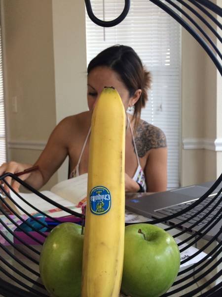 Bildschirmarbeiter - Picdump 04.09.2015