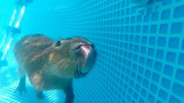 Bildschirmarbeiter - Picdump 04.09.2015