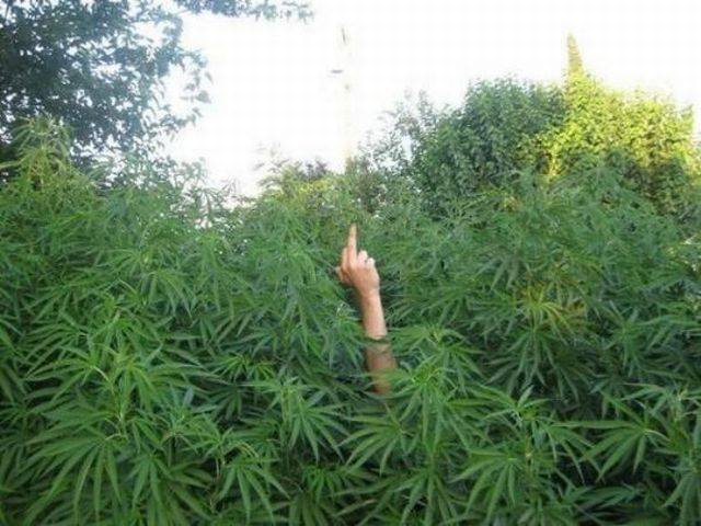 Bildschirmarbeiter - Picdump 04.09.2015