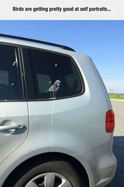 Bildschirmarbeiter - Picdump 04.09.2015