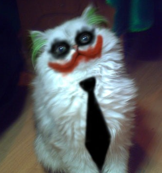 Bildschirmarbeiter - Picdump 04.09.2015