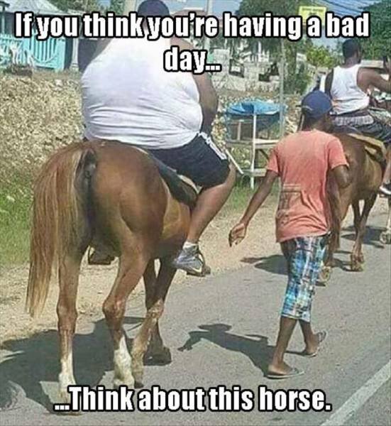 Bildschirmarbeiter - Picdump 04.09.2015