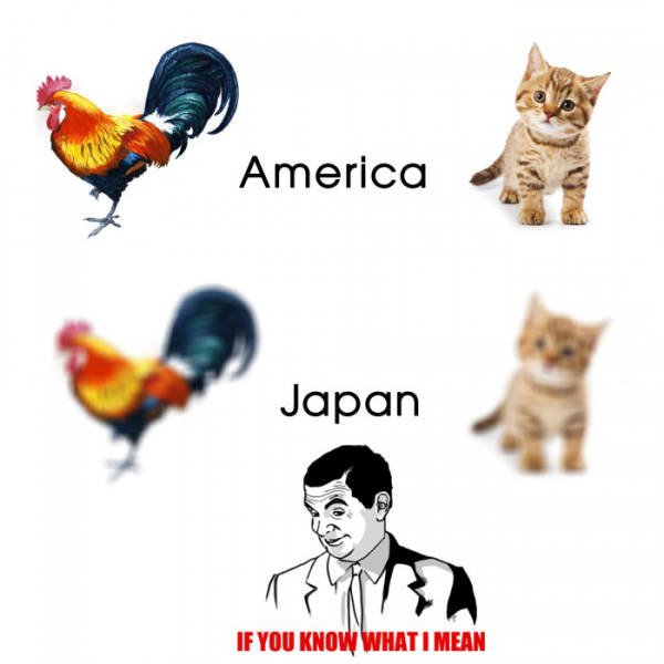 Bildschirmarbeiter - Picdump 04.09.2015