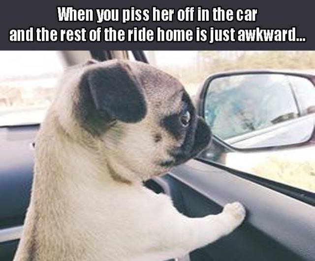 Bildschirmarbeiter - Picdump 04.09.2015