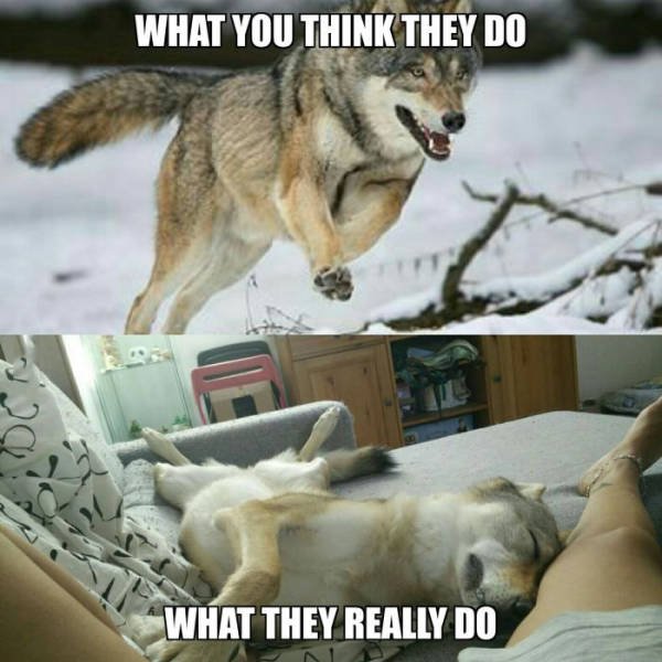 Bildschirmarbeiter - Picdump 04.09.2015