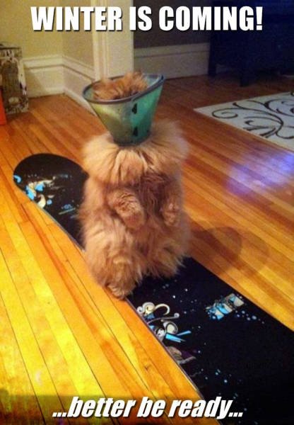 Bildschirmarbeiter - Picdump 04.09.2015