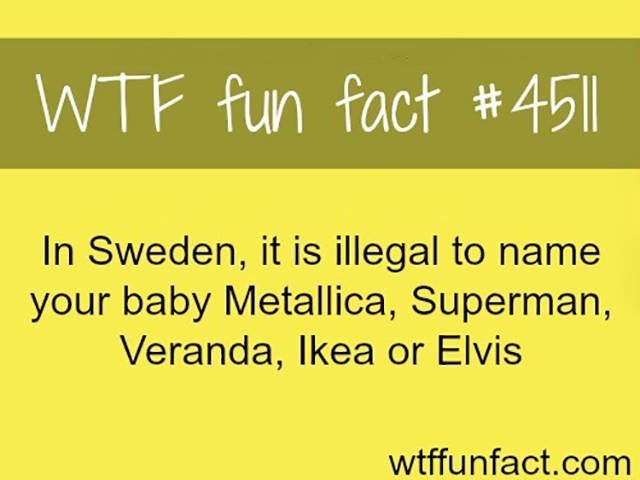 Bildschirmarbeiter - Picdump 04.09.2015