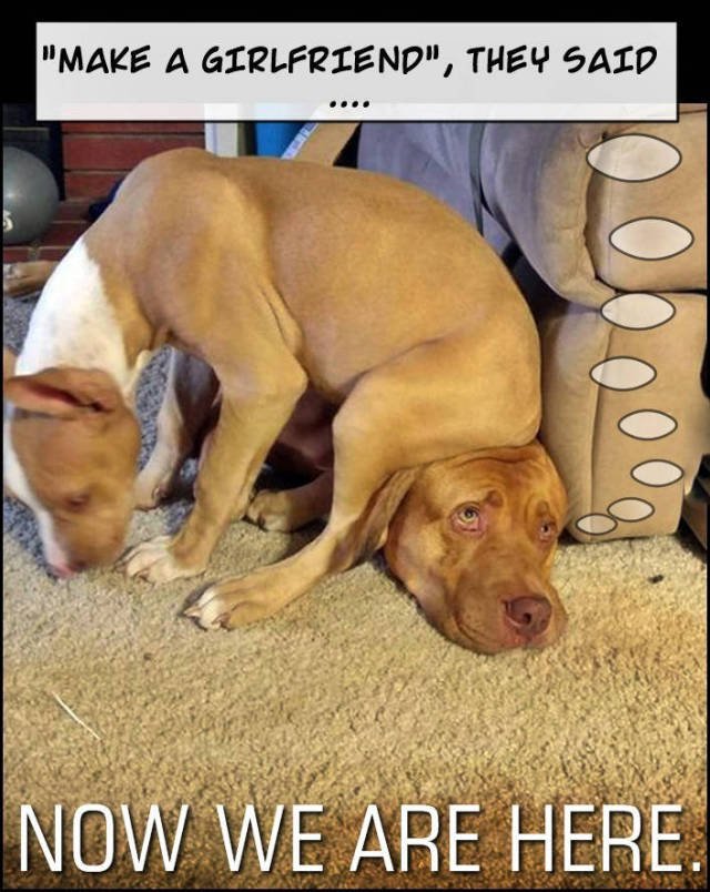 Bildschirmarbeiter - Picdump 04.09.2015