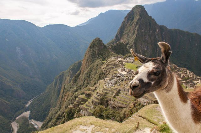 Bildschirmarbeiter - Picdump 04.09.2015