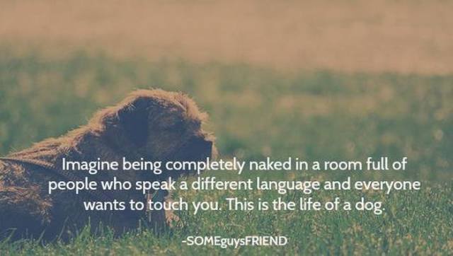 Bildschirmarbeiter - Picdump 04.09.2015