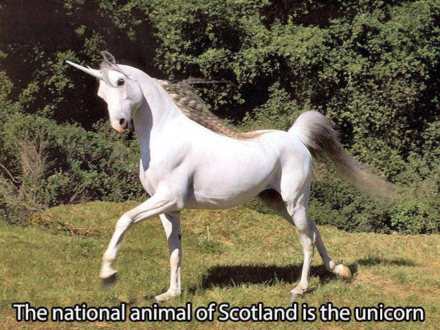 Bildschirmarbeiter - Picdump 11.09.2015