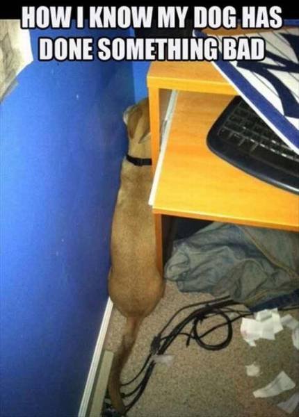 Bildschirmarbeiter - Picdump 11.09.2015