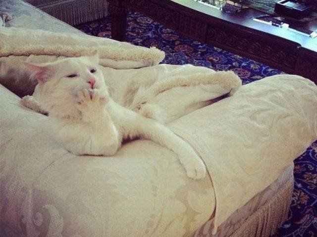 Bildschirmarbeiter - Picdump 11.09.2015