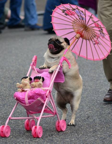 Bildschirmarbeiter - Picdump 11.09.2015