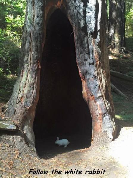 Bildschirmarbeiter - Picdump 11.09.2015