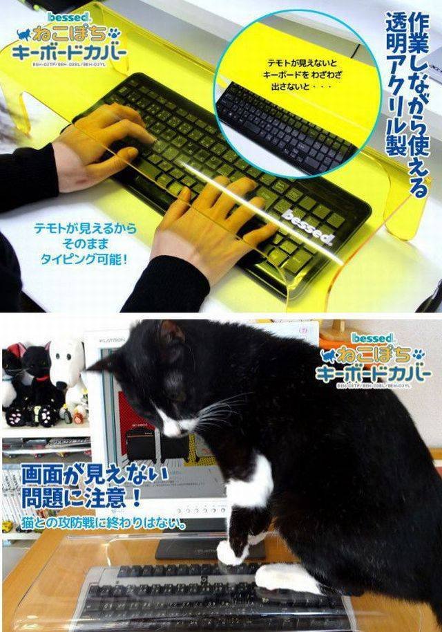 Bildschirmarbeiter - Picdump 11.09.2015