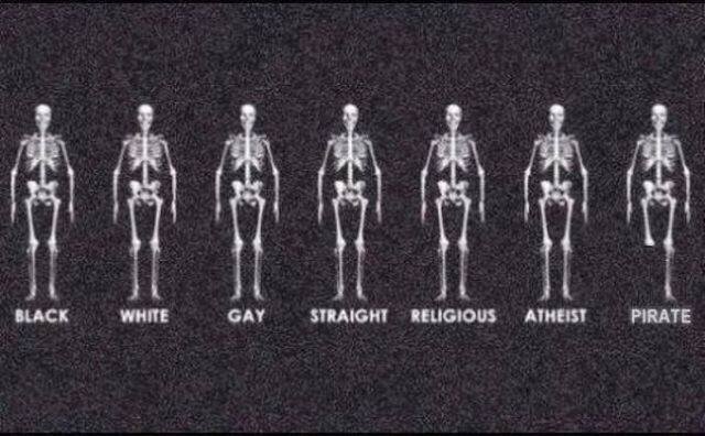 Bildschirmarbeiter - Picdump 11.09.2015