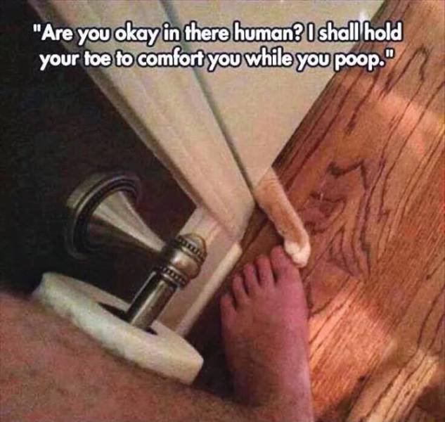 Bildschirmarbeiter - Picdump 11.09.2015