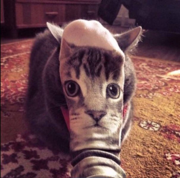 Bildschirmarbeiter - Picdump 11.09.2015