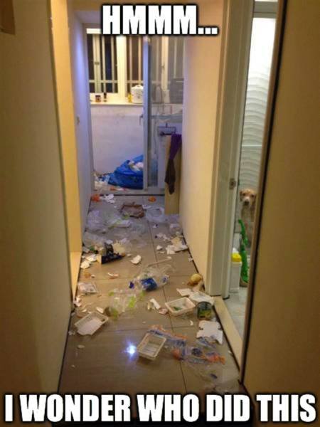 Bildschirmarbeiter - Picdump 11.09.2015