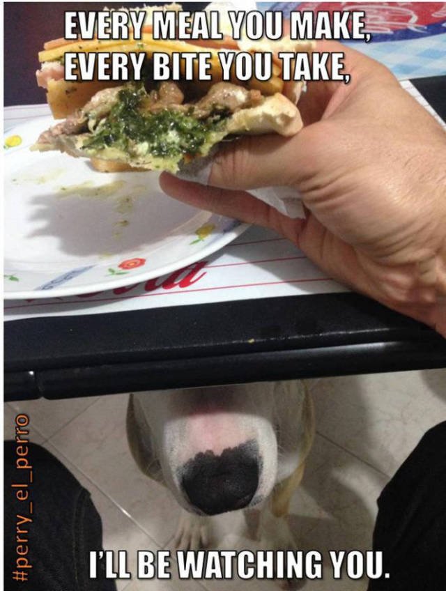 Bildschirmarbeiter - Picdump 11.09.2015