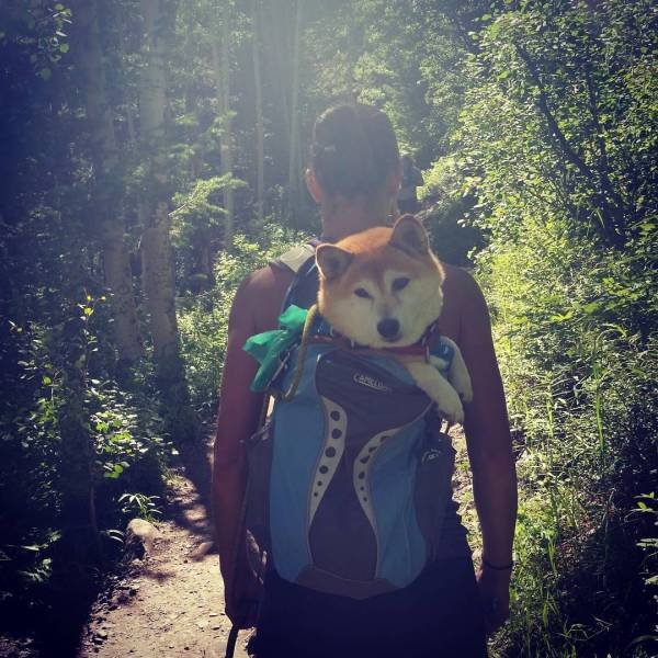 Bildschirmarbeiter - Picdump 11.09.2015