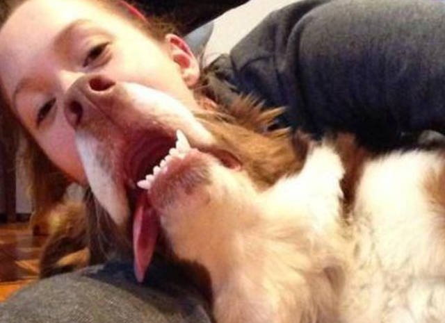 Bildschirmarbeiter - Picdump 11.09.2015