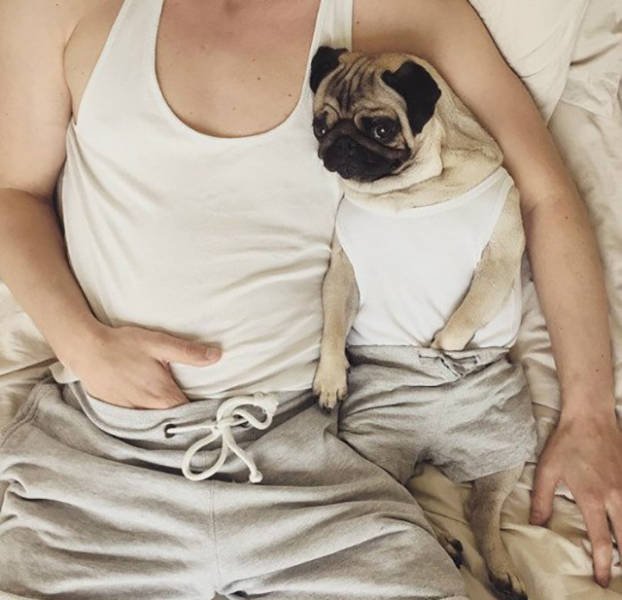 Bildschirmarbeiter - Picdump 11.09.2015