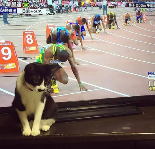 Bildschirmarbeiter - Picdump 11.09.2015