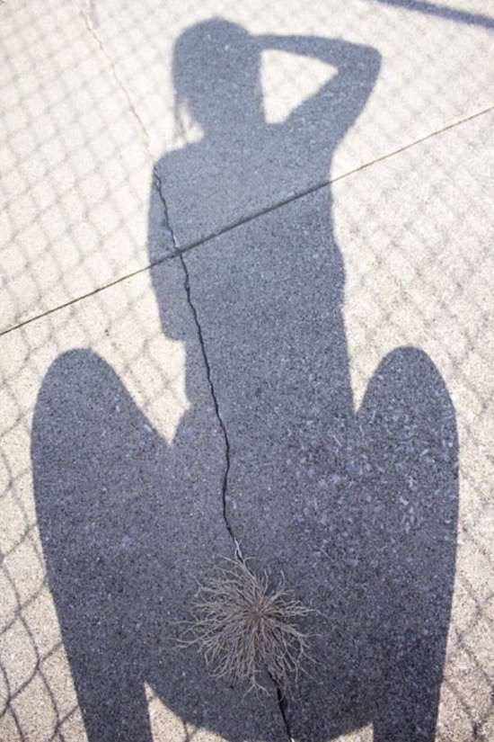 Bildschirmarbeiter - Picdump 11.09.2015