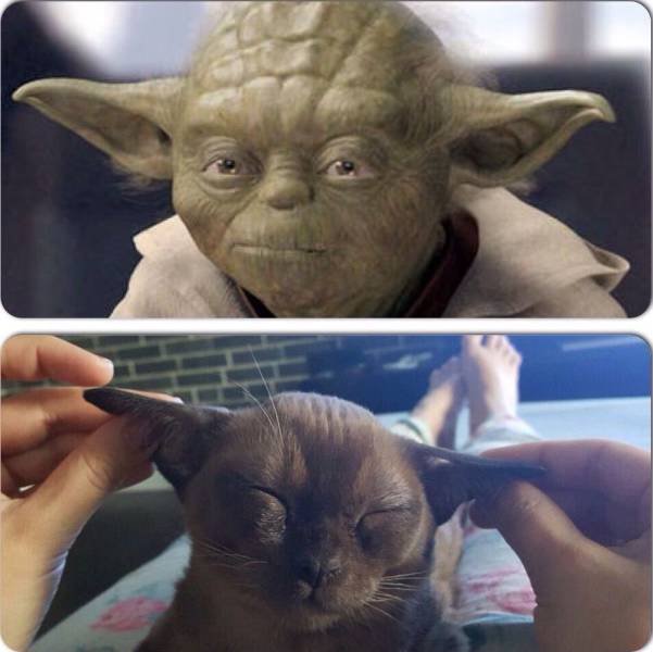 Bildschirmarbeiter - Picdump 18.09.2015