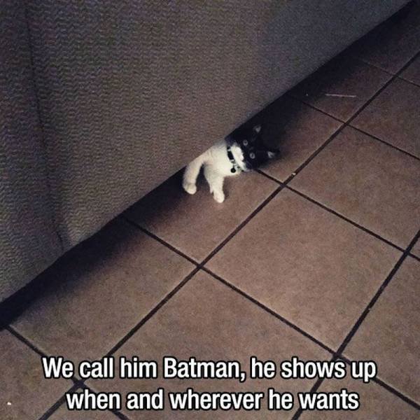 Bildschirmarbeiter - Picdump 18.09.2015