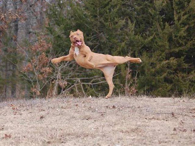 Bildschirmarbeiter - Picdump 18.09.2015