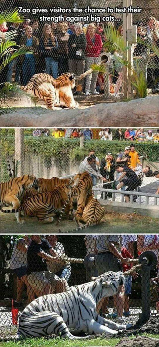 Bildschirmarbeiter - Picdump 18.09.2015