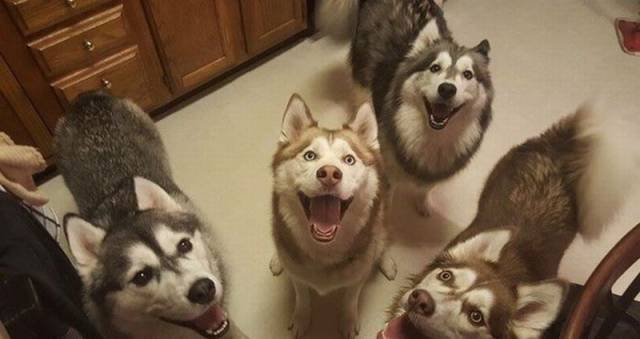 Bildschirmarbeiter - Picdump 18.09.2015