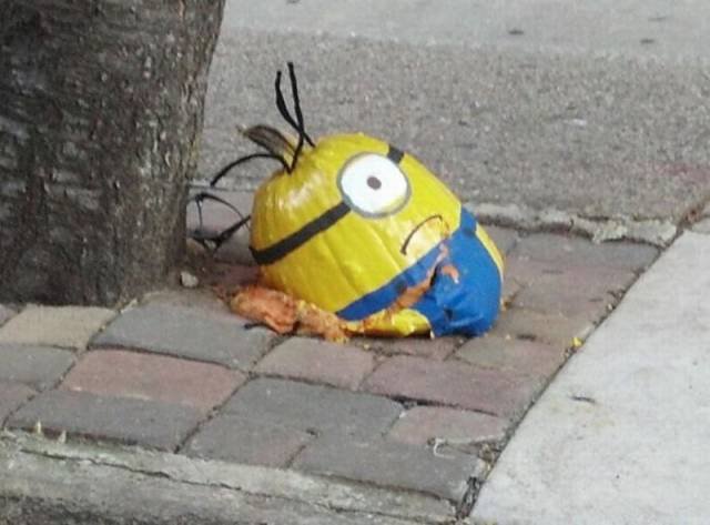 Bildschirmarbeiter - Picdump 18.09.2015