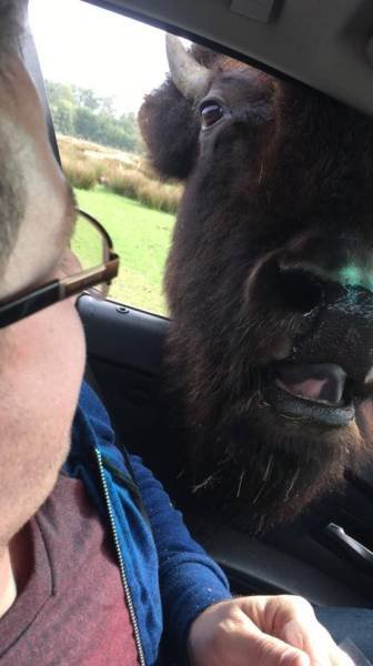 Bildschirmarbeiter - Picdump 18.09.2015