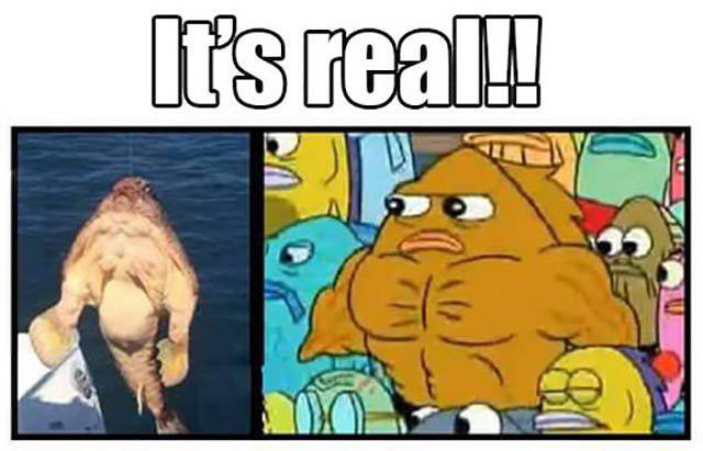 Bildschirmarbeiter - Picdump 18.09.2015