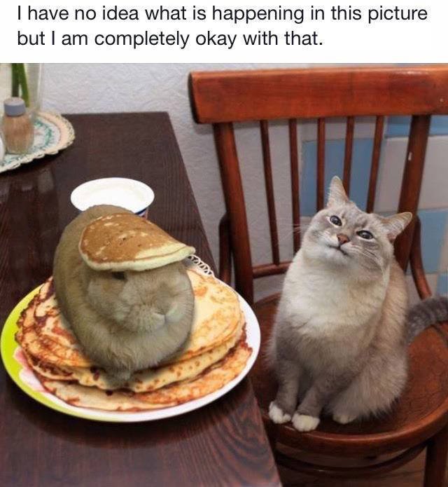 Bildschirmarbeiter - Picdump 18.09.2015