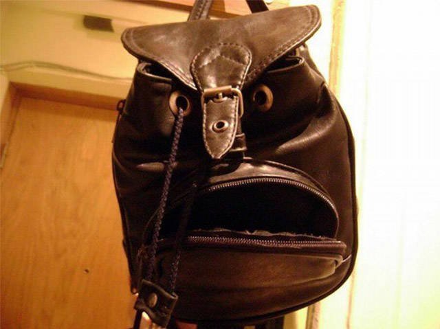 Bildschirmarbeiter - Picdump 18.09.2015