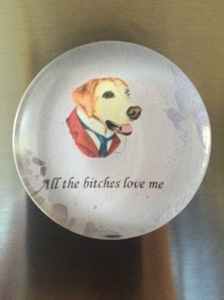 Bildschirmarbeiter - Picdump 18.09.2015