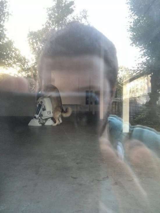 Bildschirmarbeiter - Picdump 18.09.2015