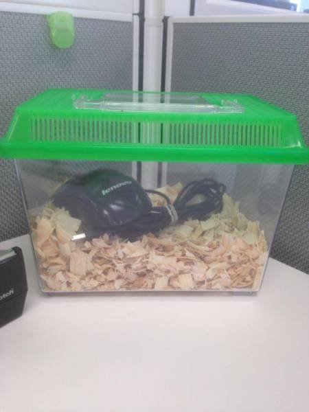 Bildschirmarbeiter - Picdump 18.09.2015